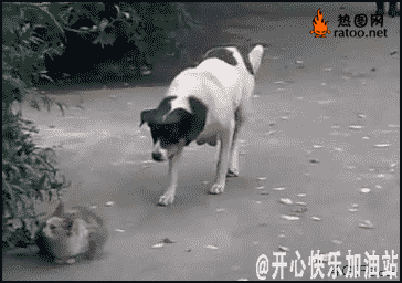 7-120419210H9.gif