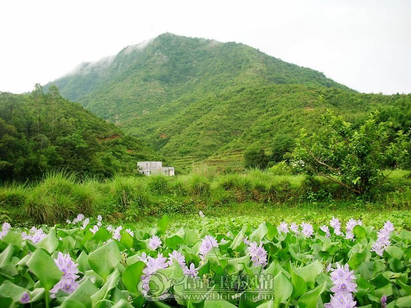 DSCN3396.jpg