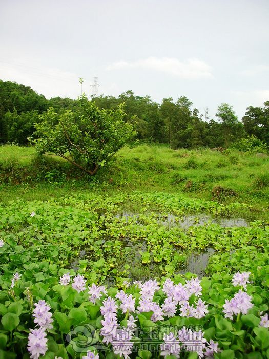 DSCN3405.jpg
