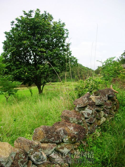 DSCN3432.jpg