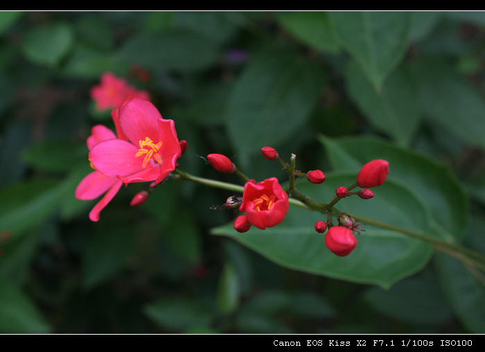 IMG_0013.jpg