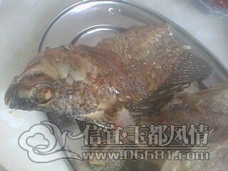 IMG0722A.jpg