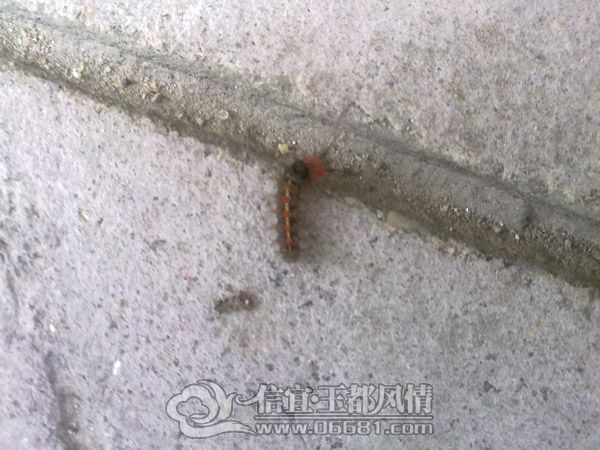 201205134330.jpg