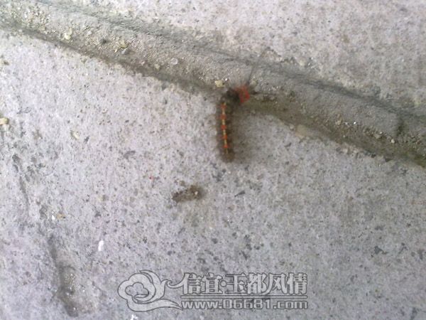 201205134332.jpg