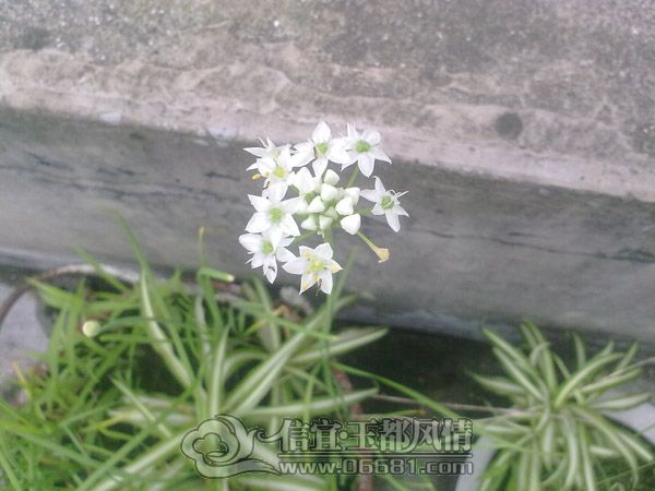 201205134311.jpg