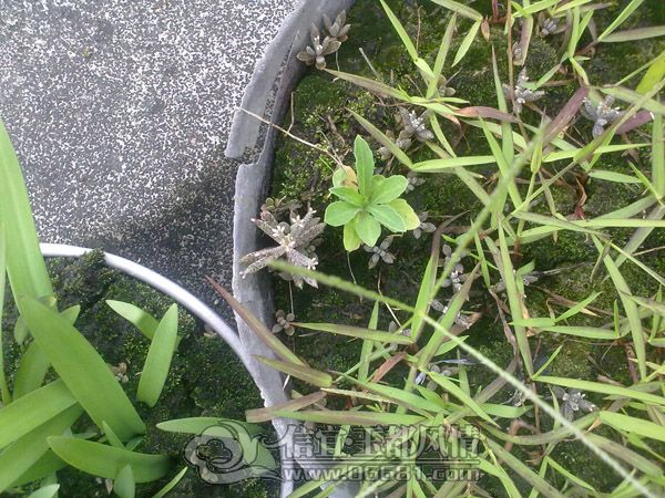 201205134310.jpg