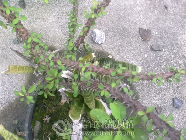 201205134307.jpg