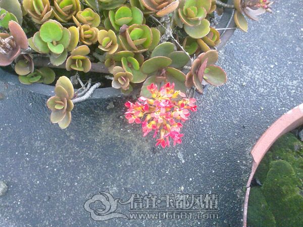 201205134306.jpg