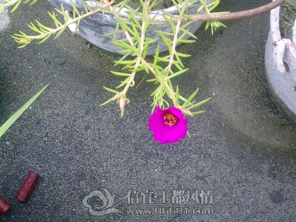 201205134304.jpg