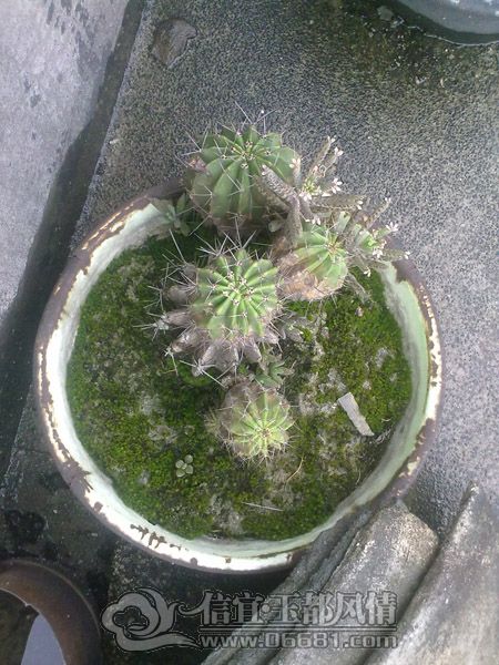 201205134315.jpg