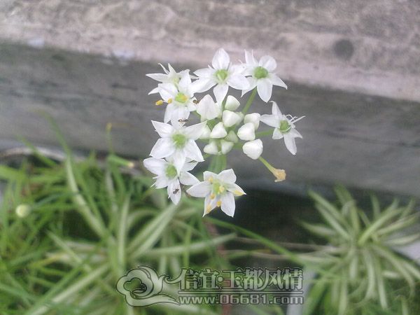 201205134312.jpg