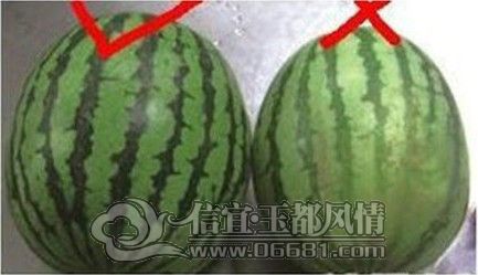 ��2.jpg