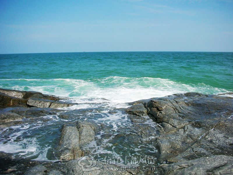 DSCN3775.jpg