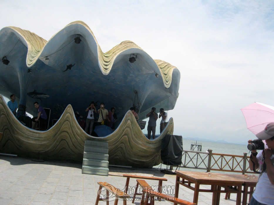 IMG_1005.jpg
