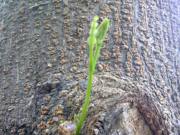 201206114447.jpg