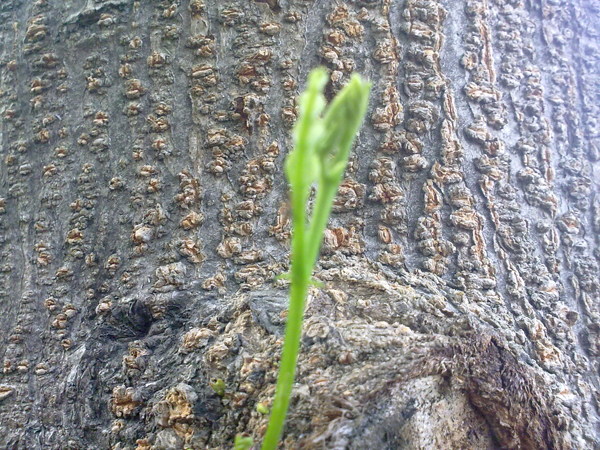 201206114446.jpg