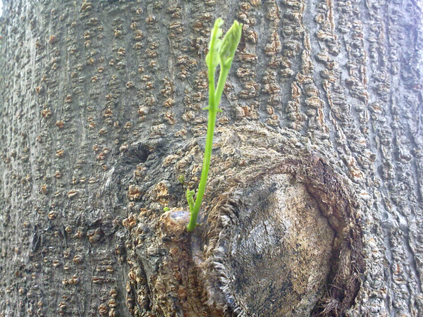 201206114445.jpg