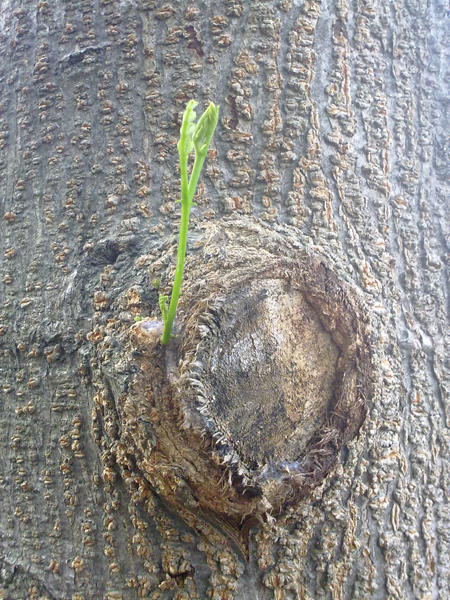 201206114448.jpg