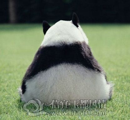 ��