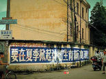 t_83URH2H700AP0001.jpg