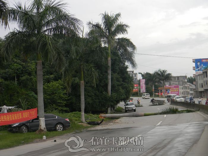 DSCN4580.JPG