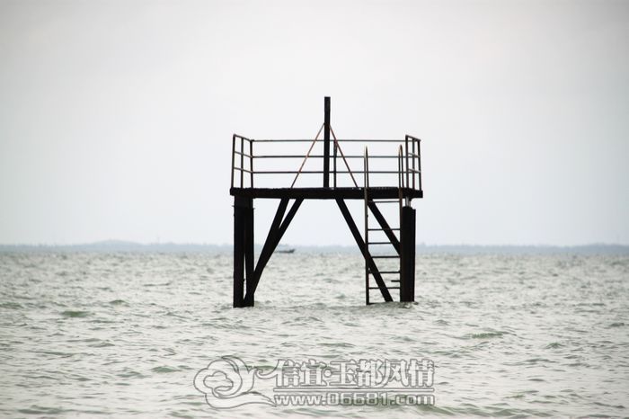 IMG_9886.jpg