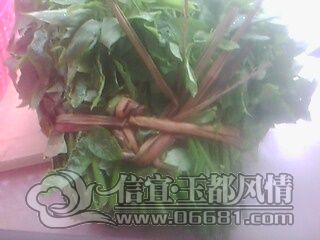 IMG0816A.jpg