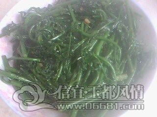 IMG0822A.jpg