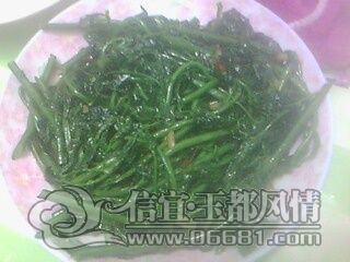 IMG0823A.jpg