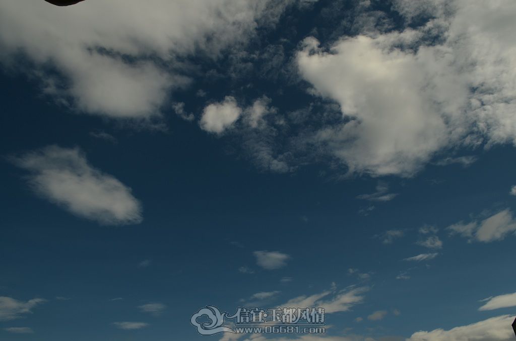 DSC_0239.JPG