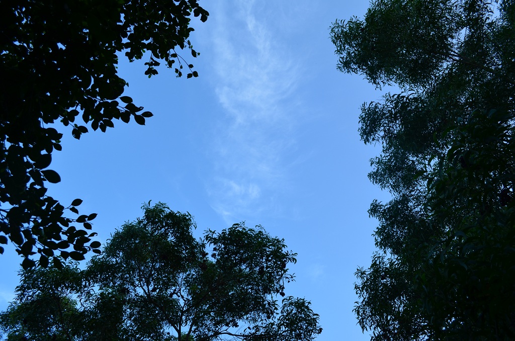 DSC_0294.JPG