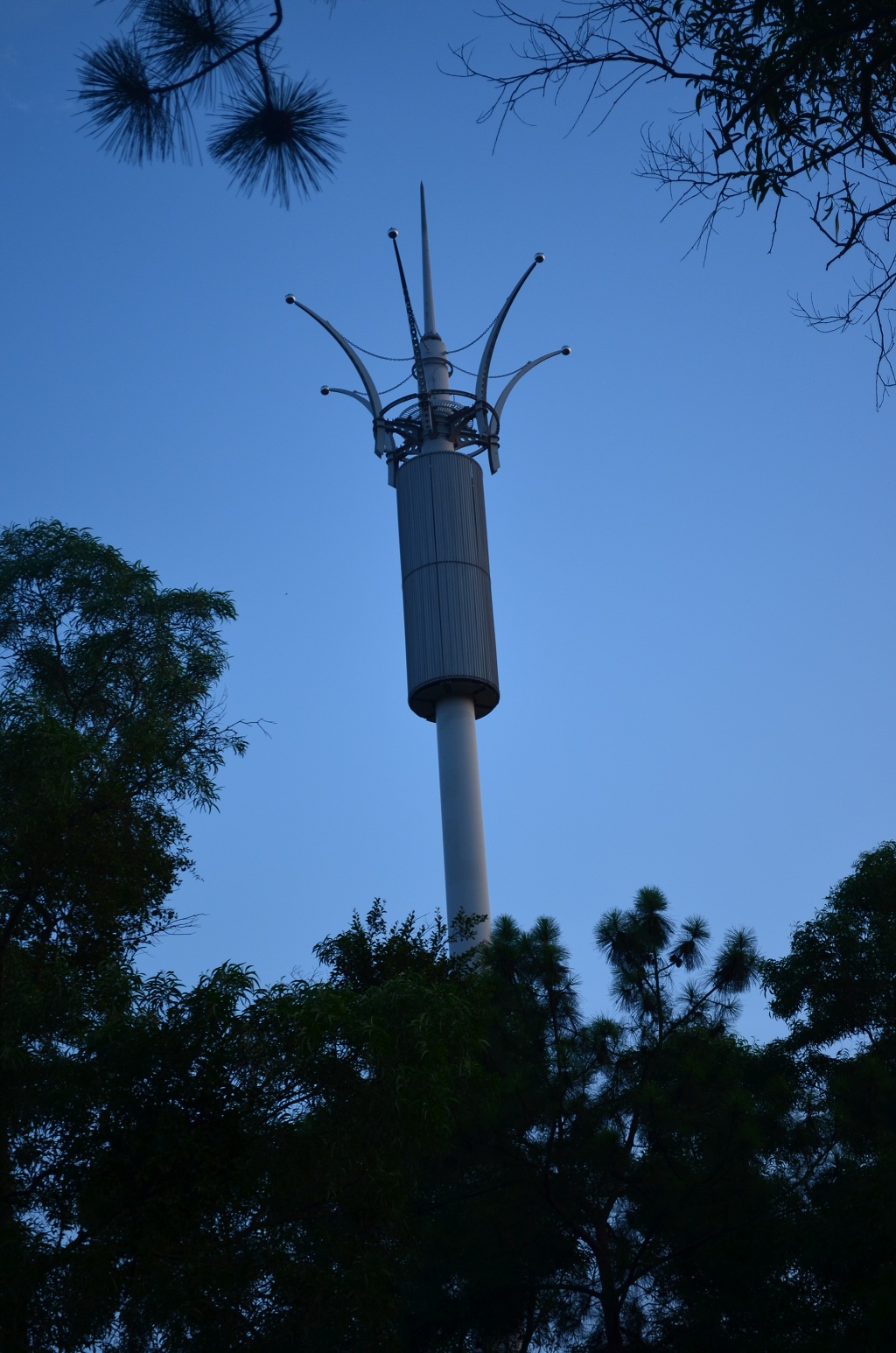DSC_0315.JPG