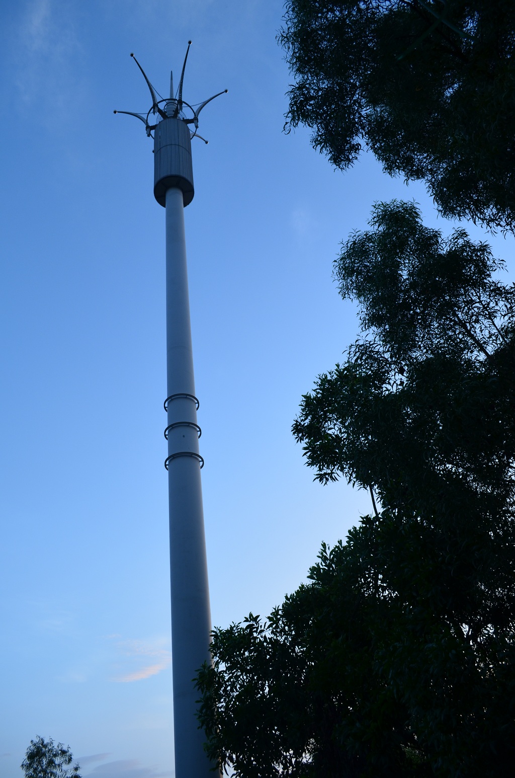 DSC_0326.JPG