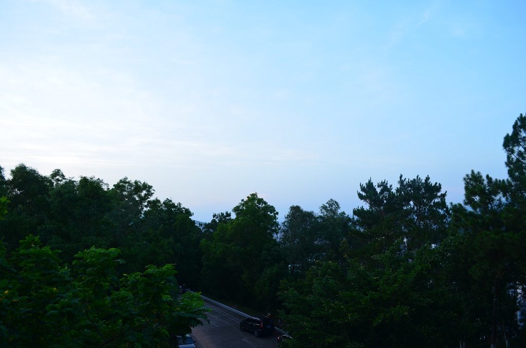 DSC_0333.JPG