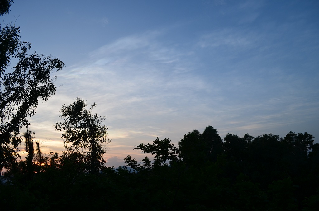 DSC_0334.JPG
