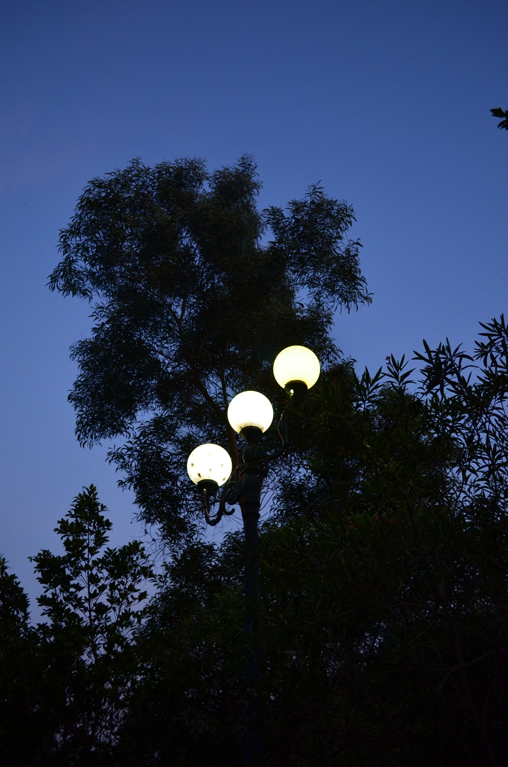 DSC_0398.JPG