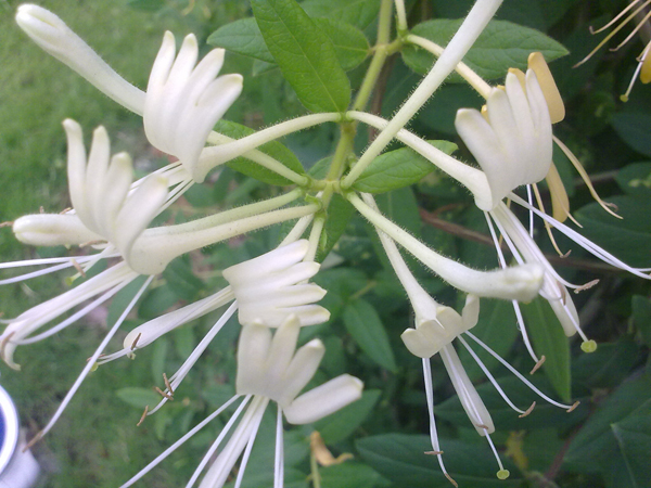 201206134454.jpg