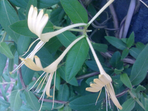 201206134456.jpg