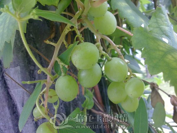 201206134465.jpg