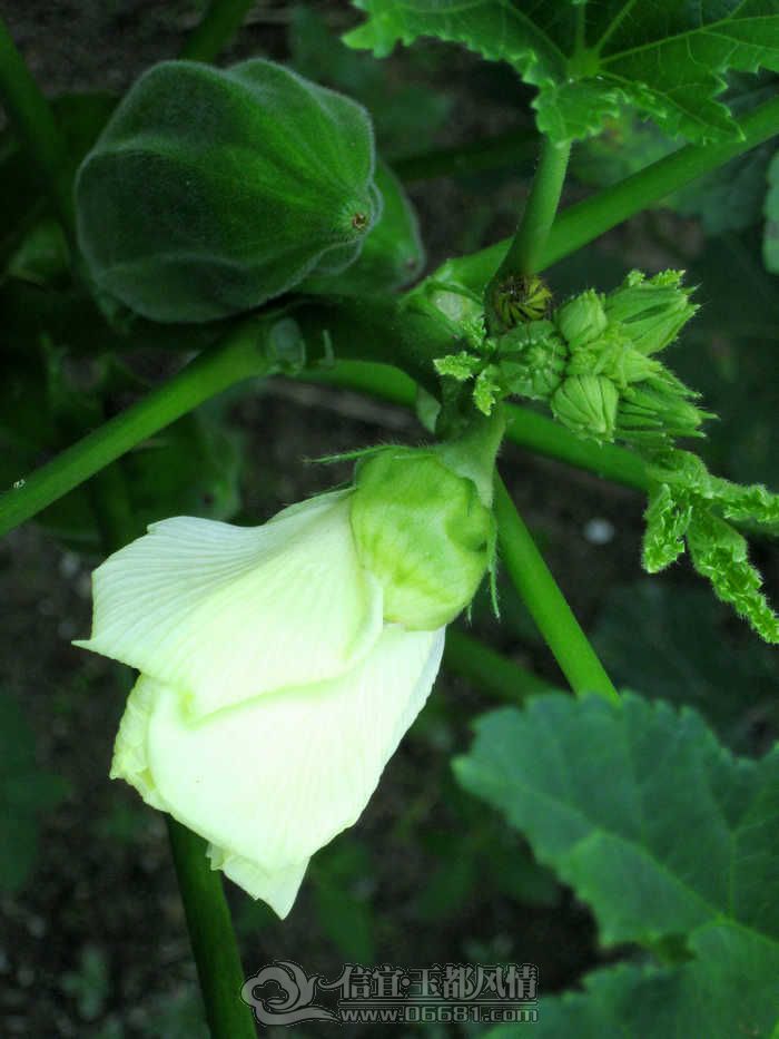 IMG_1635.jpg