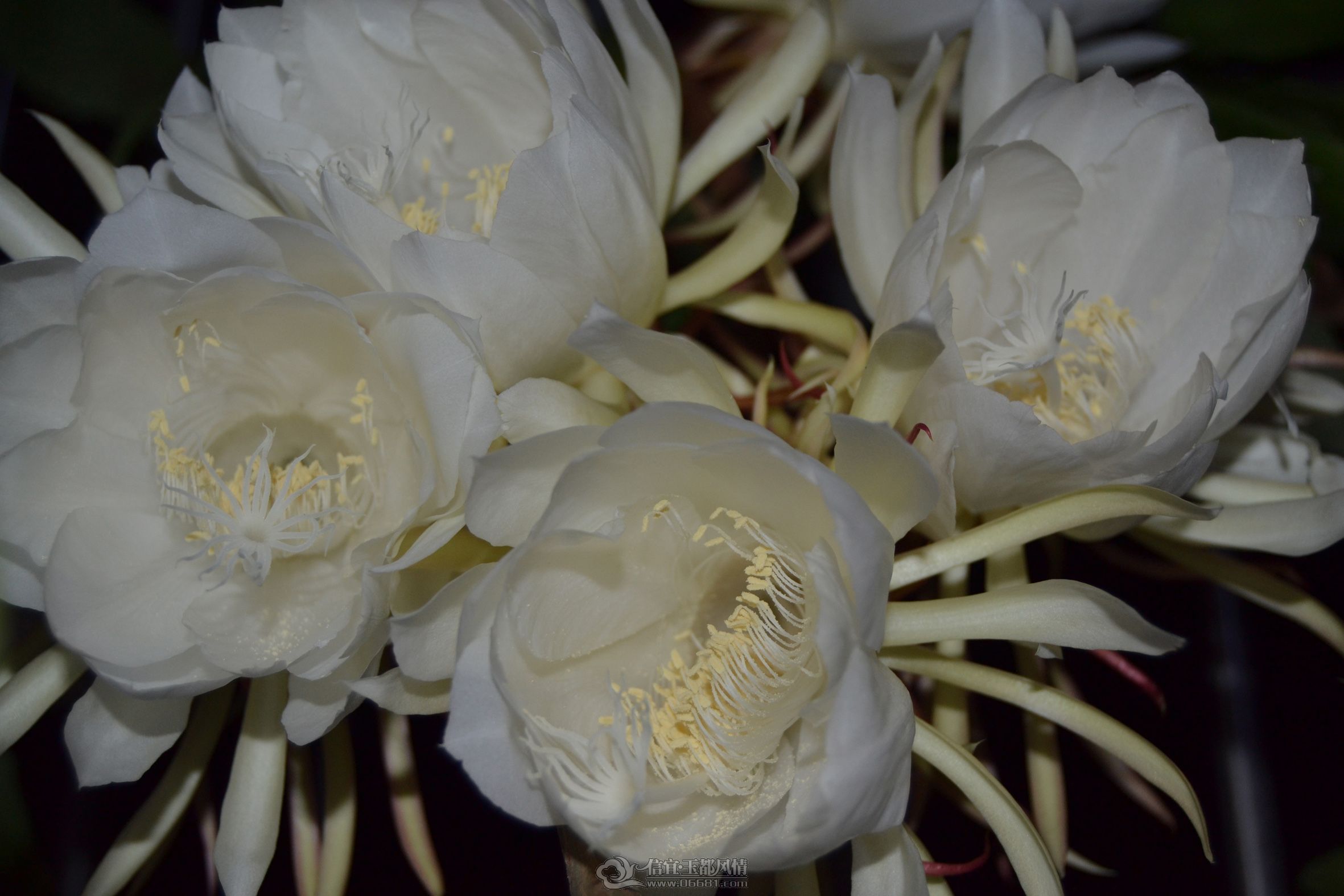 DSC_0858.jpg