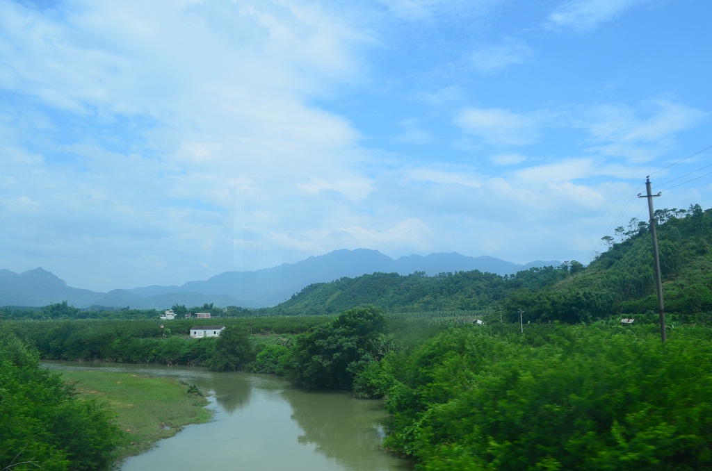 DSC_0140.JPG