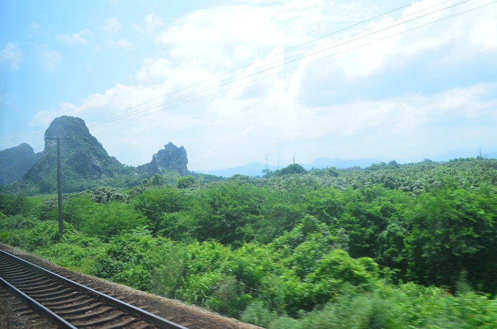 DSC_0197.JPG