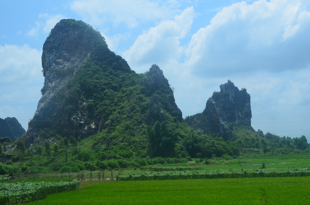 DSC_0201.JPG