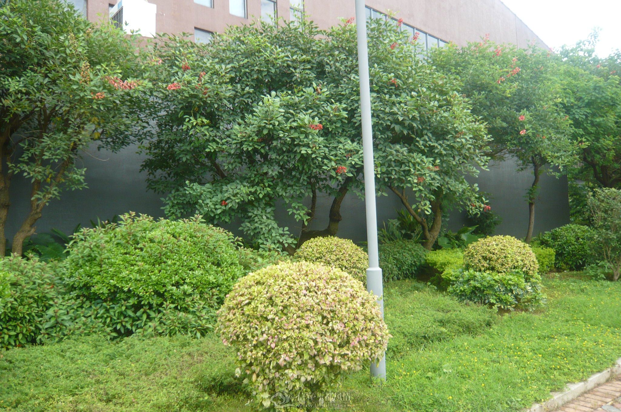 P1050355.JPG