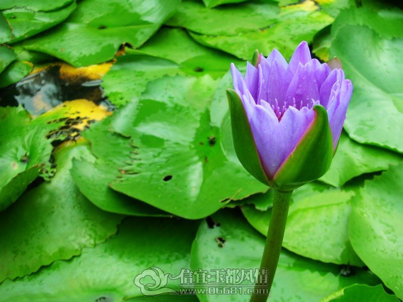 DSCN3823.jpg