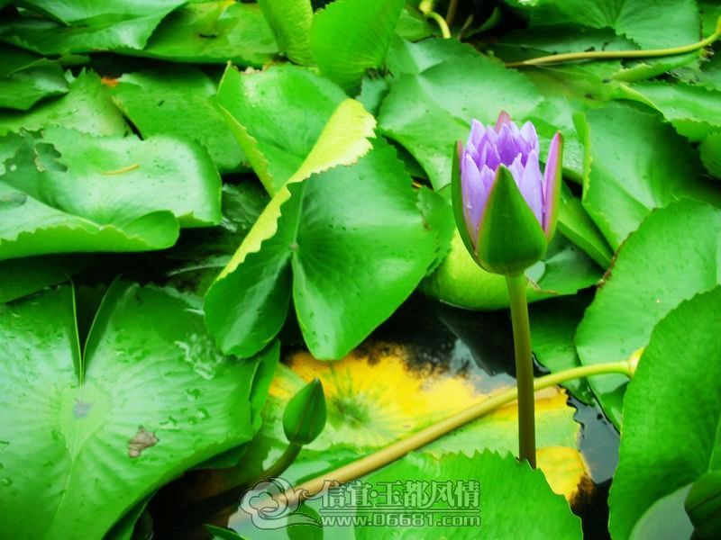 DSCN3818.jpg