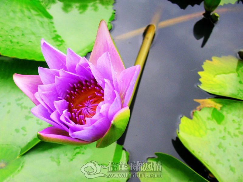 DSCN3819.jpg
