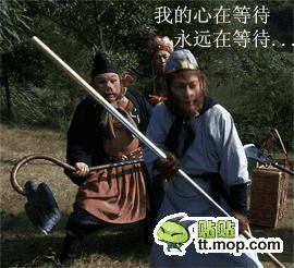 12861609671331038.gif