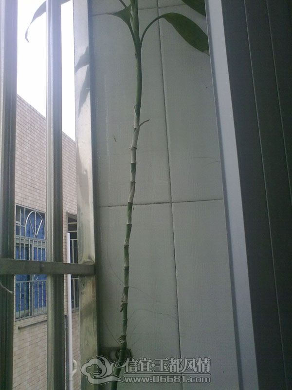 201206234513.jpg